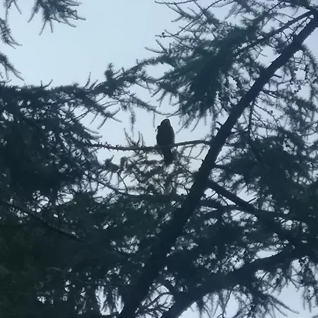 The Water Fort Garden