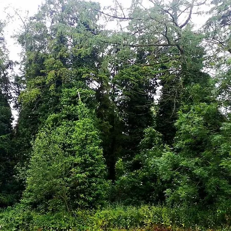 The Water Fort Garden Kingscourt