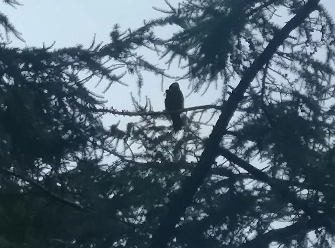 The Water Fort Garden